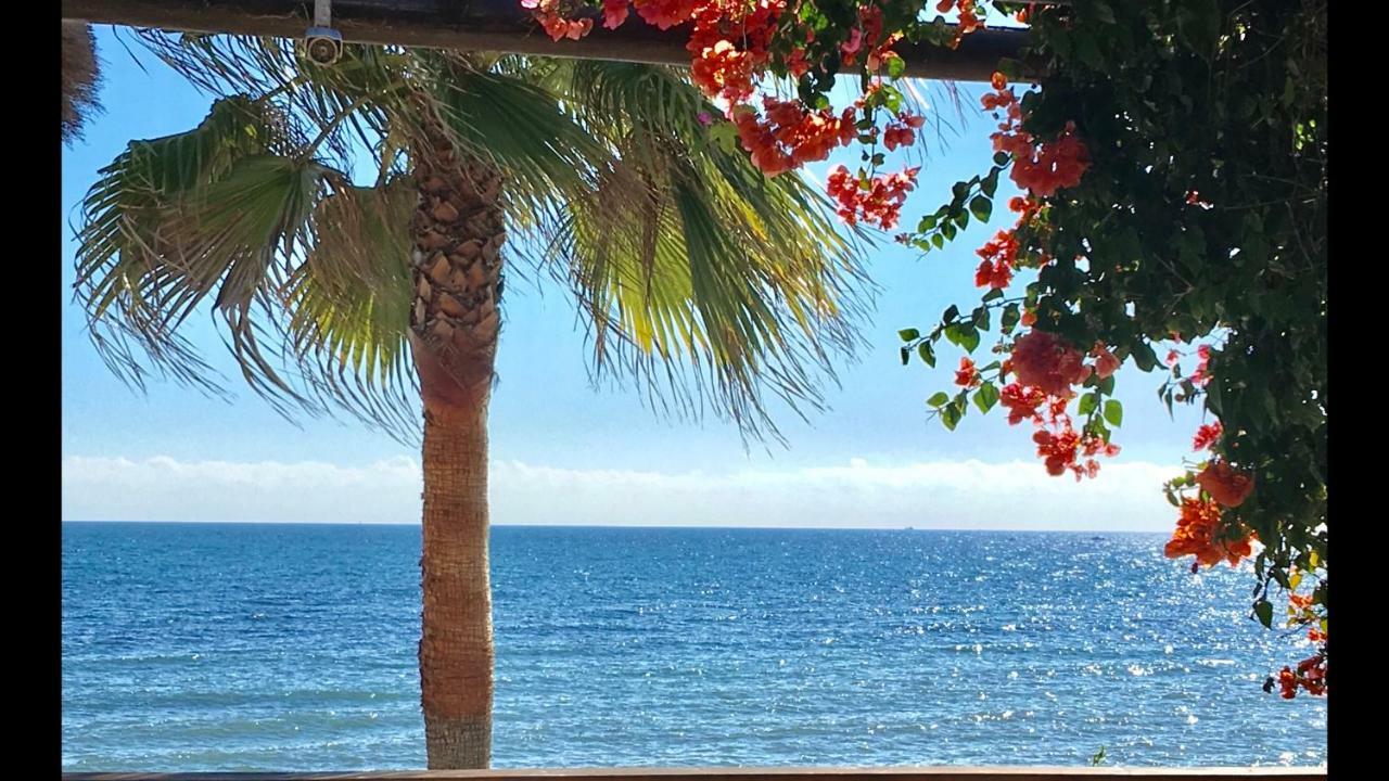 Mi Capricho 9C Beachfront- Apartment With Sea View - Costa Del Sol لا كالا ذي ميخاس المظهر الخارجي الصورة